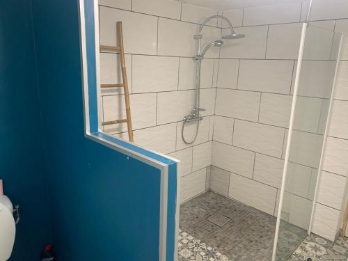 a bathroom with a shower with a ladder in it at Fleurs de mangue in Saint-Louis