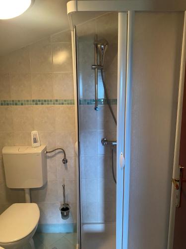 a bathroom with a toilet and a shower at Villa Una Apartments in Labin