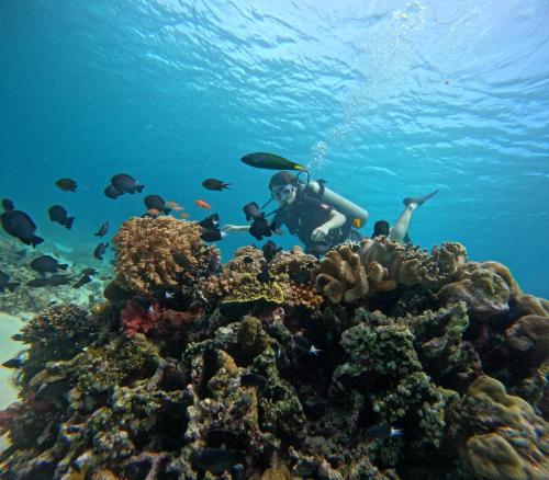 Landskap semula jadi dekat dengan rumah tamu ini