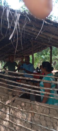 Επισκέπτες που μένουν στο Jungle Tree Hut Anuradhapura Sri Lanka