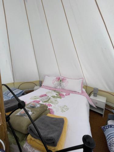 Gallery image of Cox Hill Glamping Badger in Truro