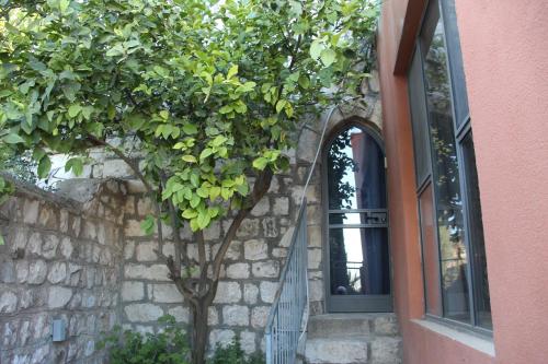 a tree next to a building with a window at Artists' Colony Inn Zefat in Safed