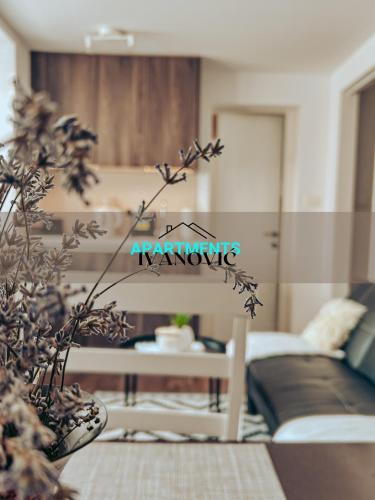 Χώρος καθιστικού στο Apartments Ivanović