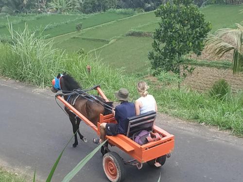 Fotografie z fotogalerie ubytování Rinjani Horse Riding BaseCamp v destinaci Masbagik