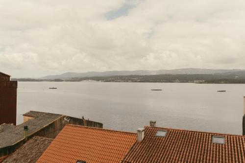 Природа в окрестностях апартаментов/квартиры