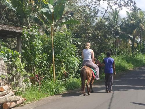 Fotografie z fotogalerie ubytování Rinjani Horse Riding BaseCamp v destinaci Masbagik