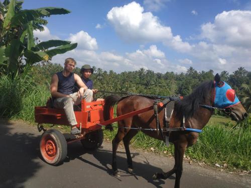 Fotografie z fotogalerie ubytování Rinjani Horse Riding BaseCamp v destinaci Masbagik