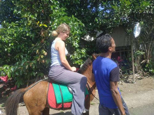 Fotografie z fotogalerie ubytování Rinjani Horse Riding BaseCamp v destinaci Masbagik
