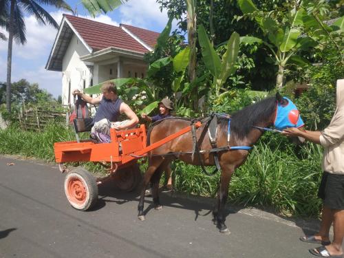 Fotografie z fotogalerie ubytování Rinjani Horse Riding BaseCamp v destinaci Masbagik