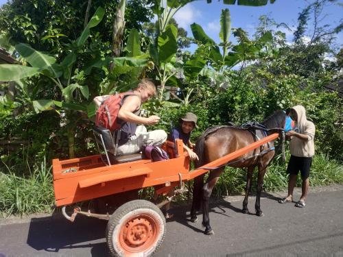 Fotografie z fotogalerie ubytování Rinjani Horse Riding BaseCamp v destinaci Masbagik