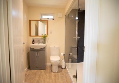 a bathroom with a toilet and a sink and a shower at Luxury Chestnut Lodge with Hot Tub and Games Room in Toppesfield