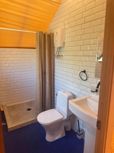 un bagno con un water e un lavandino di Yagoda Moya a Khot