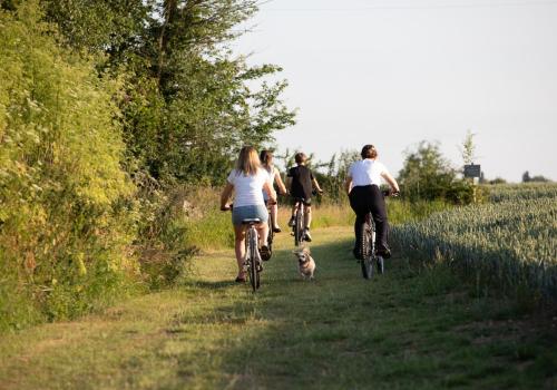 a group of people riding bikes down a trail with a dog at Luxury Chestnut Lodge with Hot Tub and Games Room in Toppesfield