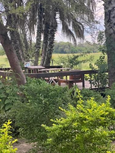 Φωτογραφία από το άλμπουμ του Mokolwane RiverFront Maun σε Μαούν