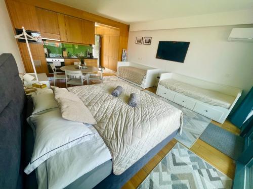 Μια τηλεόραση ή/και κέντρο ψυχαγωγίας στο BL LAKESIDE APARTMAN