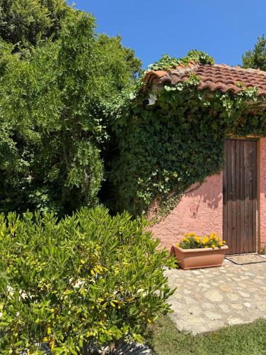 a garden with a wooden door and some plants at Apartments Villa Marija in Petrovac na Moru