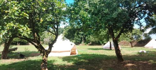 Taman di luar glamping de keroman