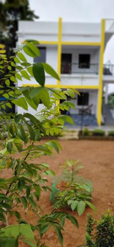 Zahrada ubytování Kiwis Nest Homestay