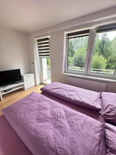 Ένα ή περισσότερα κρεβάτια σε δωμάτιο στο Apartmány Tereza