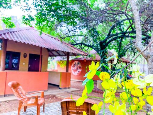 Zahrada ubytování Hotel Niyagala Lodge Sigiriya