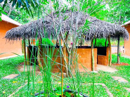 Zahrada ubytování Hotel Niyagala Lodge Sigiriya