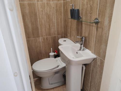 a bathroom with a toilet and a sink at Studios & Ensuite Doubles - Central RG1 - Oracle - Station & Hospital in Reading