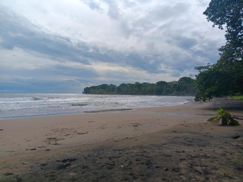 a sandy beach with trees and the ocean at Casa Chantel in Manzanillo