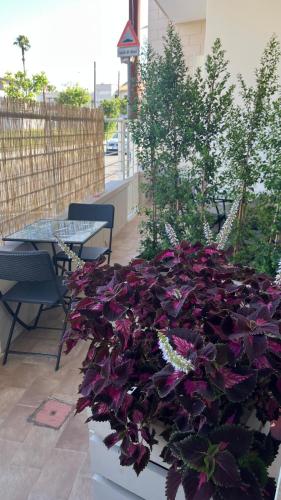 レヴェラーノにあるMartylè Roomsのパティオの箱に入った紫色の花束