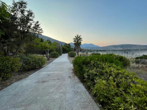 a walking path with a palm tree on the side at Seaside Garden Galaxidi in Galaxidhion