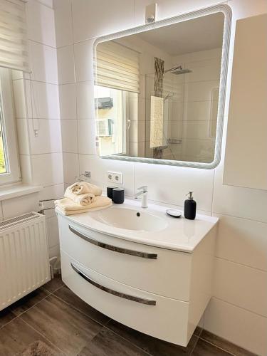 a bathroom with a sink and a mirror at Gina's Landhaus in Eberau