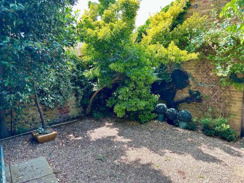 a garden with a tree and plants next to a wall at Cosy whole home in central Faversham in Kent