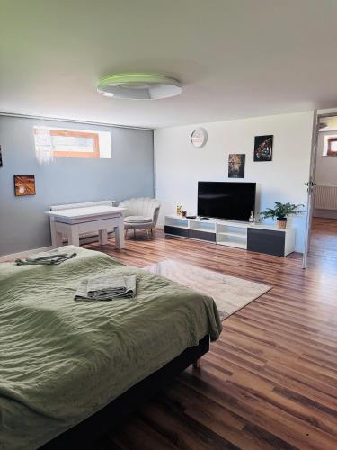 Televisyen dan/atau pusat hiburan di Kalinówka - Lublin - Felin - Apartament z Jacuzzi