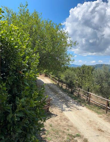 a dirt road with a fence and trees at Agriturismo Nonno Ninuccio in Gioi