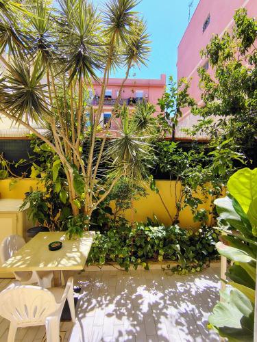 Κήπος έξω από το Nostos B&B - Back to the Sea