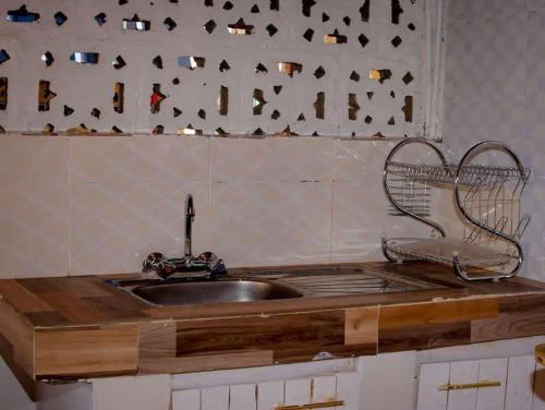 a kitchen with a sink and a shelf with birds on the wall at Kaasham Cabins Olpejeta in Nanyuki