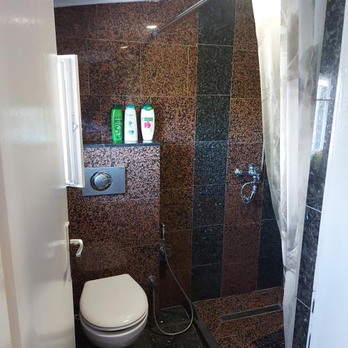 a bathroom with a toilet and a shower at Studio Relax in Travnik