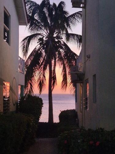 a palm tree in front of a building with the ocean at Apartment "Always SUNday", Lagoon Ocean Resort in Lagun