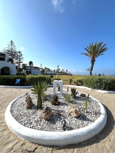 a small garden with cacti and plants in a circle at Private beach 100 meters, relaxing stay guaranteed in Fnidek