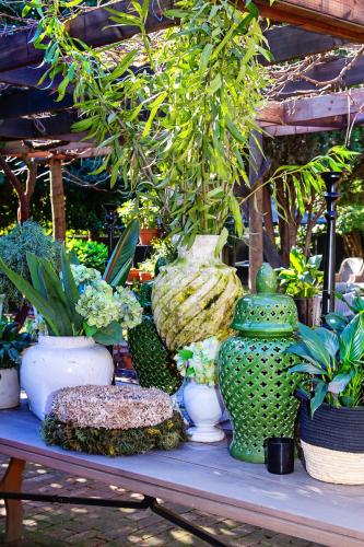 a group of vases and plants on a table at Paarl Hideaway in Paarl