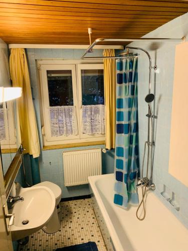 Bilik mandi di Ferienwohnung in Pappenheim