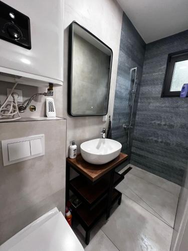 a bathroom with a sink and a tv on the wall at Vikendica Radoš 