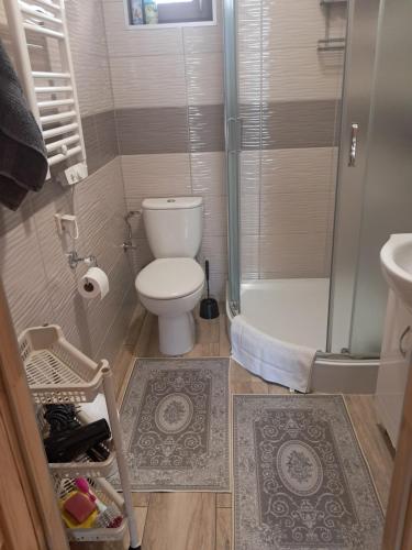 a small bathroom with a toilet and a shower at Drewniany Domek Daria i Tomek 2 domki na 8 osób in Stronie Śląskie