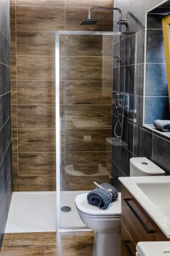a bathroom with a shower and a toilet and a sink at Penzion Ronox in Česká Skalice