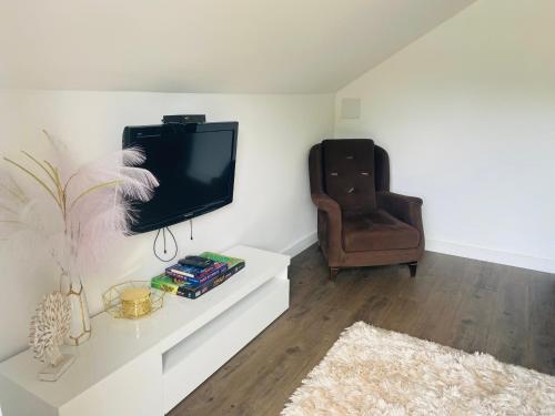 a living room with a tv and a chair at Apartman Maslina in Kosjerić