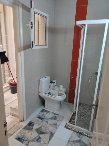 a small bathroom with a toilet and a shower at Beach apartment with fireplace TanTana in Bāb as Suwayqah