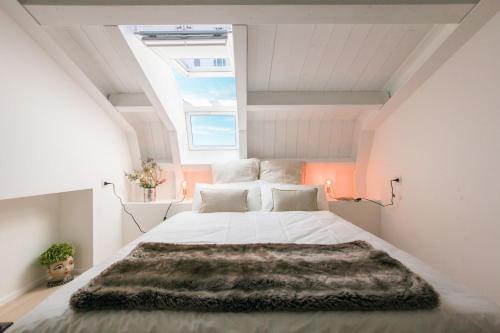 Newly renovated bright penthouse