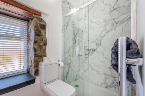 a bathroom with a toilet and a glass shower at Pembrokeshire Near Beach With A Hot Tub in Pembroke