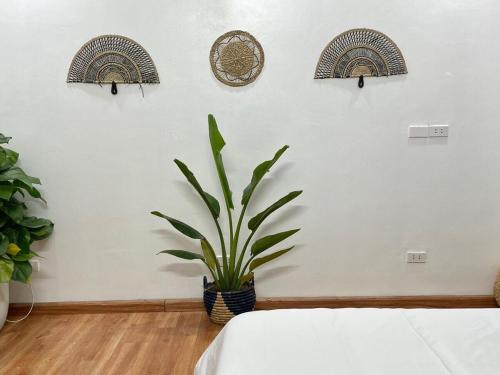 une chambre avec une plante en pot sur un mur dans l'établissement The Little Ha Noi 5 Bedrooms Large Yard Balcony, à Hanoï