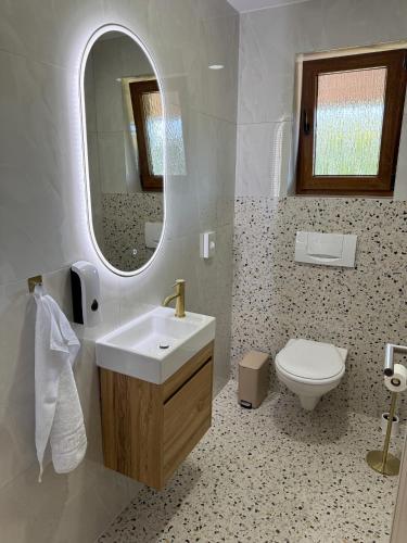 a bathroom with a sink and a toilet and a mirror at Cherry Hill Loft in Plitvička Jezera