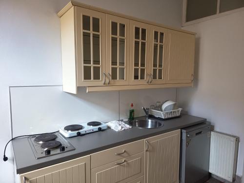 a kitchen with wooden cabinets and a sink at Klauzál Apartman in Budapest